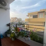 Grei