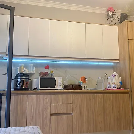 Apartment Grei *