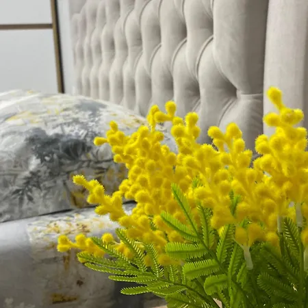 Apartment Grei Durres