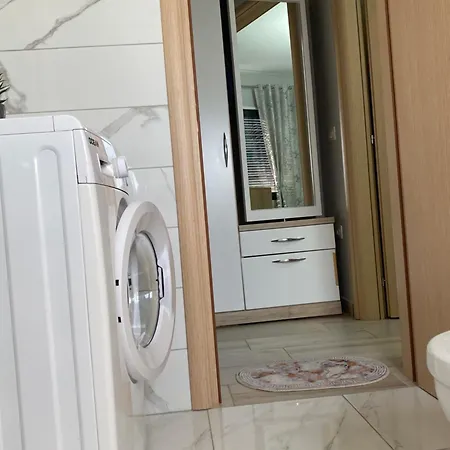 Grei