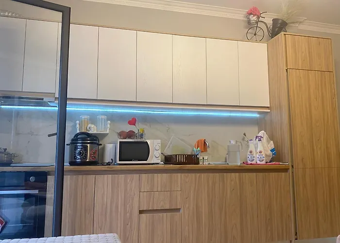 Apartment Grei *